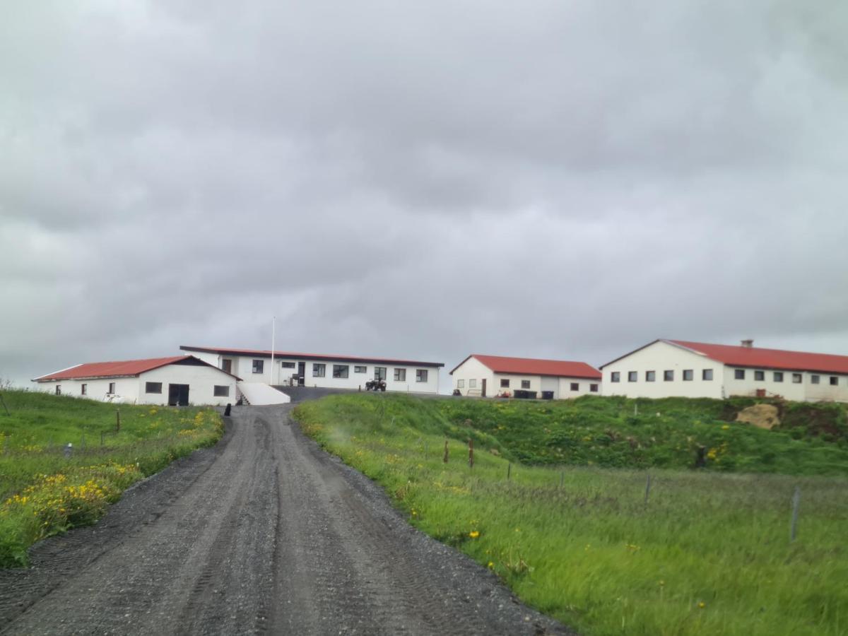 Fiflholt Villa Hvolsvollur Ngoại thất bức ảnh